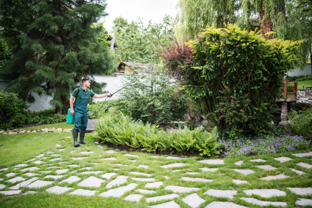 Best Wasp Removal Services  in Ambler, PA
