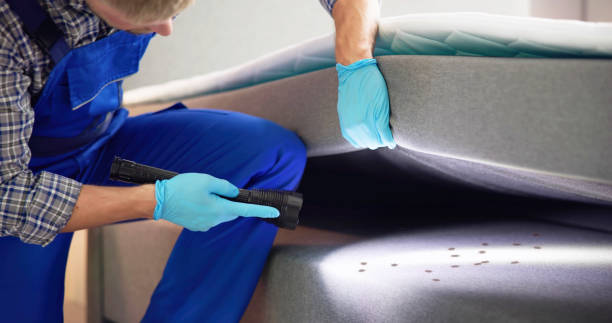 Best Residential Pest Control  in Ambler, PA